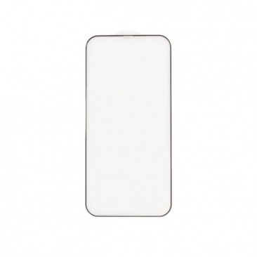 Защитное стекло Антишпион iPhone 13 Mini FULL