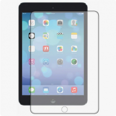 Защитное стекло для Apple iPad Mini