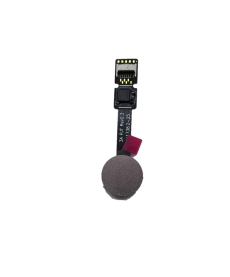 Шлейф со сканером отпечатка для Sony Xperia XZ2 Compact, XZ2 Premium (H8324, H8166) (роз OEM